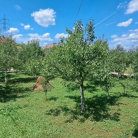 Kuca U Sarajevu سراييفو